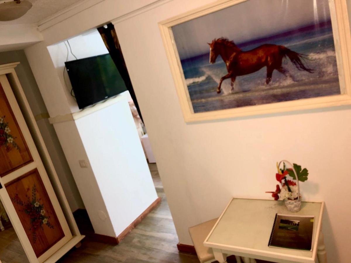 Vila Horia Bradet ซาเชเล ภายนอก รูปภาพ